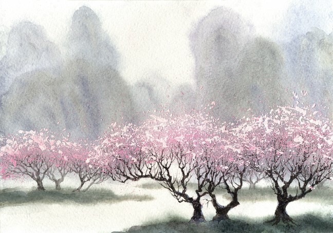 Watercolor of delicate flowering trees near the river on a misty cool spring day